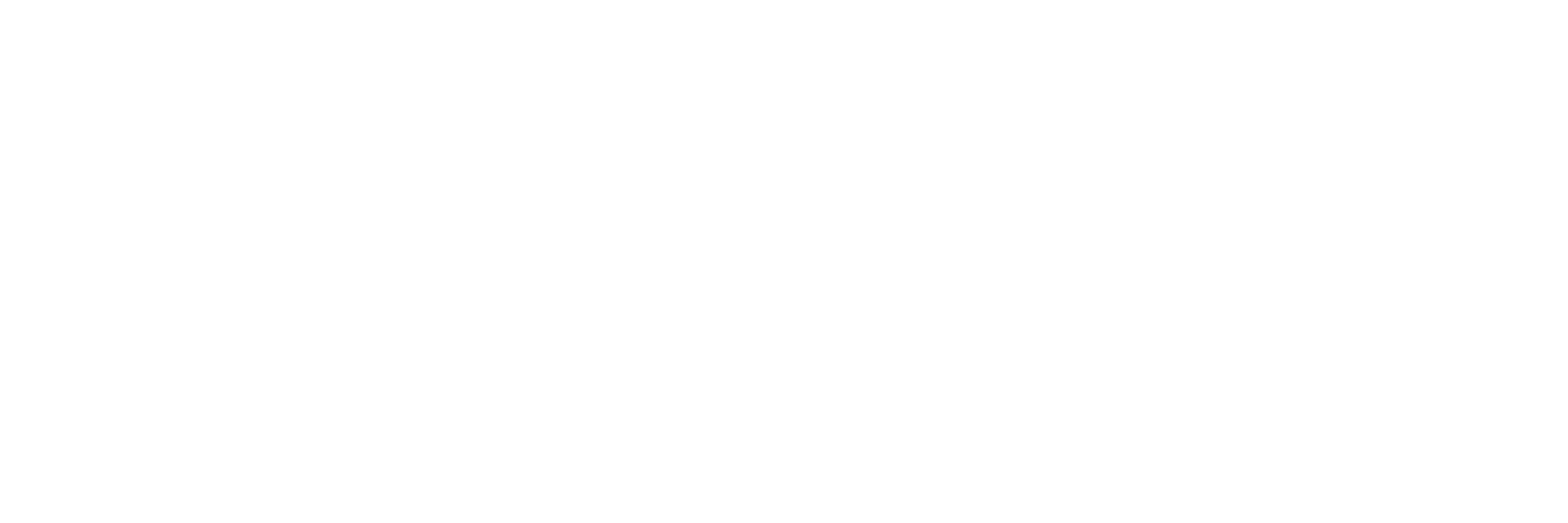 ppfbinhduong-logo-white